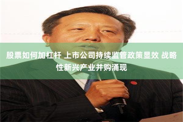 股票如何加杠杆 上市公司持续监管政策显效 战略性新兴产业并购涌现