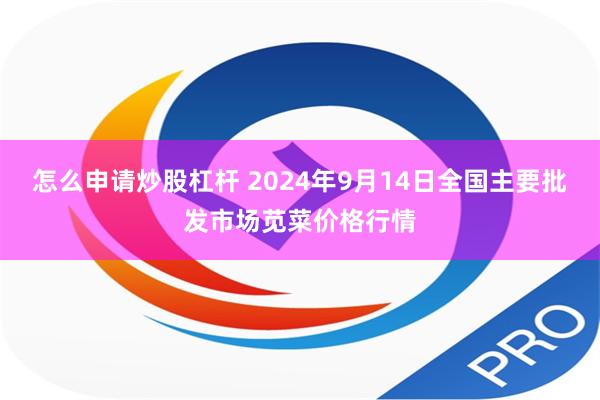 怎么申请炒股杠杆 2024年9月14日全国主要批发市场苋菜价格行情