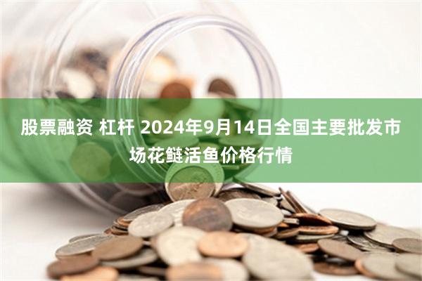 股票融资 杠杆 2024年9月14日全国主要批发市场花鲢活鱼价格行情