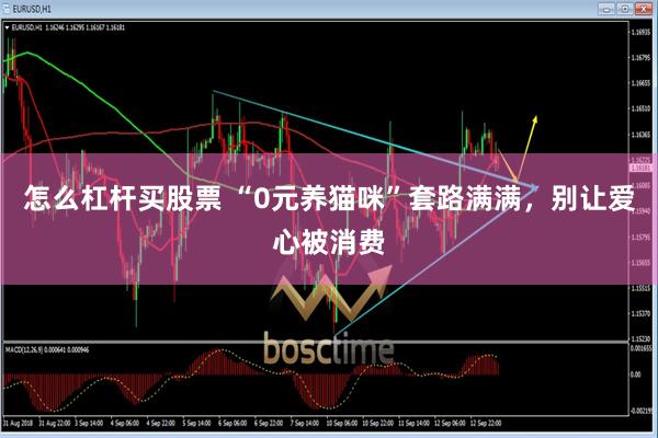 怎么杠杆买股票 “0元养猫咪”套路满满，别让爱心被消费