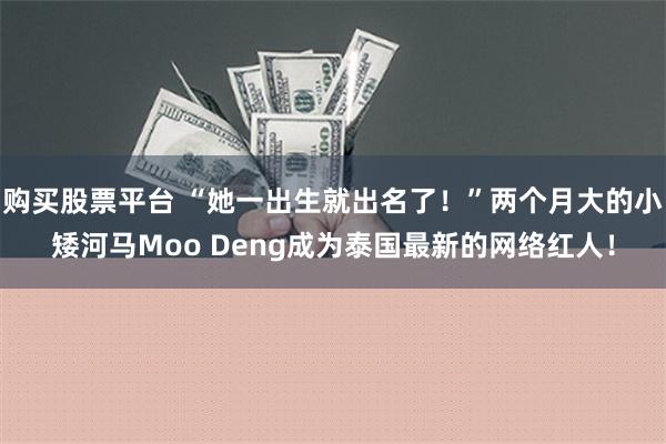 购买股票平台 “她一出生就出名了！”两个月大的小矮河马Moo Deng成为泰国最新的网络红人！