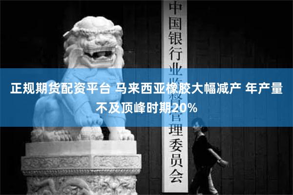 正规期货配资平台 马来西亚橡胶大幅减产 年产量不及顶峰时期20%