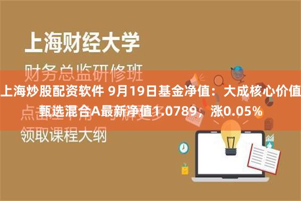 上海炒股配资软件 9月19日基金净值：大成核心价值甄选混合A最新净值1.0789，涨0.05%