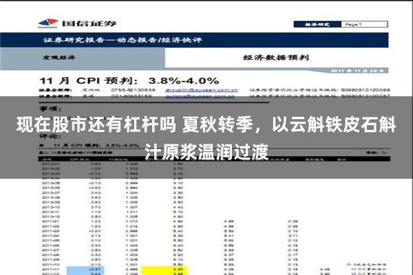 现在股市还有杠杆吗 夏秋转季，以云斛铁皮石斛汁原浆温润过渡