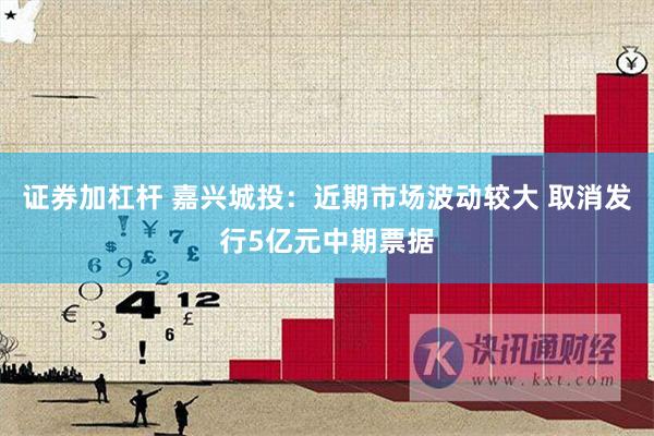 证券加杠杆 嘉兴城投：近期市场波动较大 取消发行5亿元中期票据