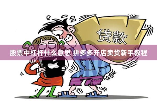 股票中杠杆什么意思 拼多多开店卖货新手教程