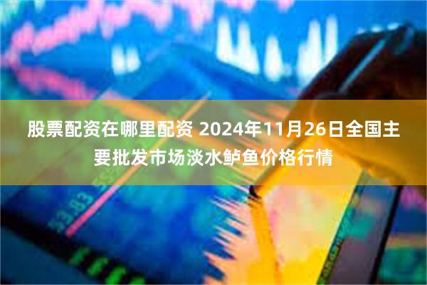 股票配资在哪里配资 2024年11月26日全国主要批发市场淡水鲈鱼价格行情