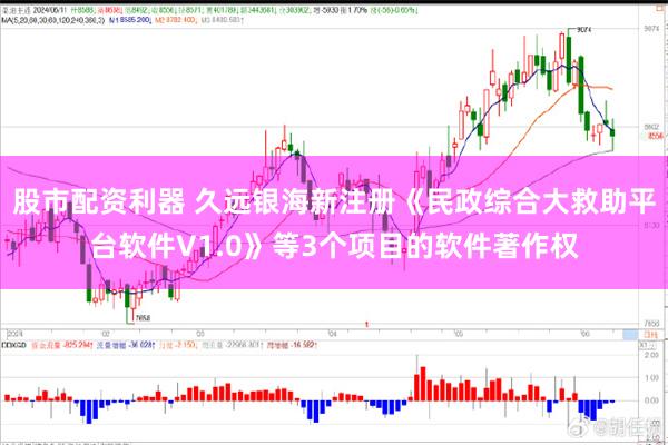 股市配资利器 久远银海新注册《民政综合大救助平台软件V1.0》等3个项目的软件著作权