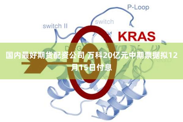 国内最好期货配资公司 万科20亿元中期票据拟12月15日付息