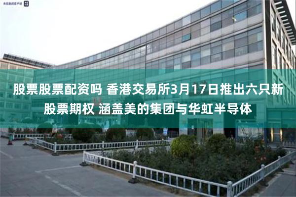 股票股票配资吗 香港交易所3月17日推出六只新股票期权 涵盖美的集团与华虹半导体